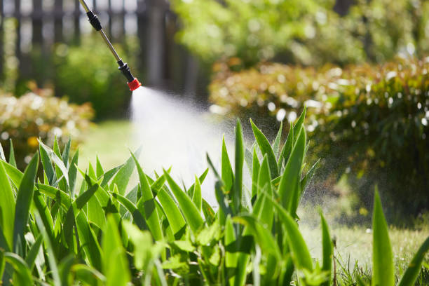 Tamper-Resistant Bait Stations for Rodents in Bardonia