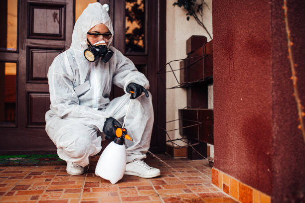 Attic and Crawl Space Rodent Treatment in Bardonia