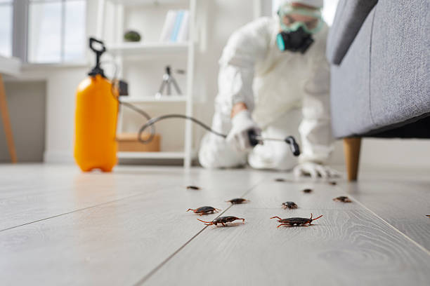 Commercial Rodent Management in Bardonia